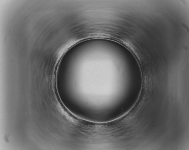X0000103311379200809051535