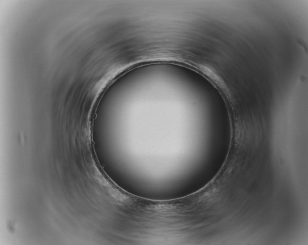X0000103311380200809051535