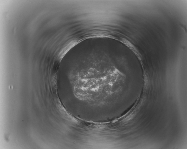 X0000103311385200809051535