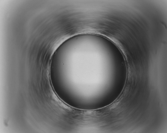 X0000103311390200809051535