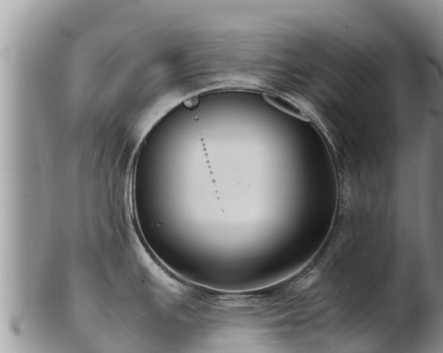 X0000103311391200809051535