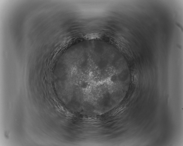 X0000103311393200809051534