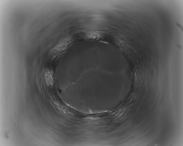 X0000103311394200809051534
