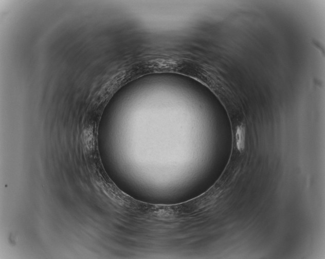 X0000103311395200809051534