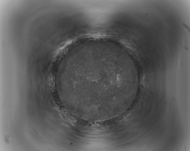 X0000103311398200809051534