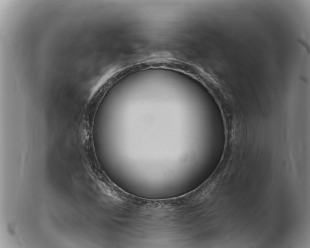 X0000103311400200809051534