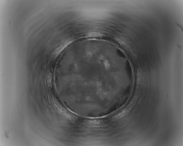X0000103311401200809051534
