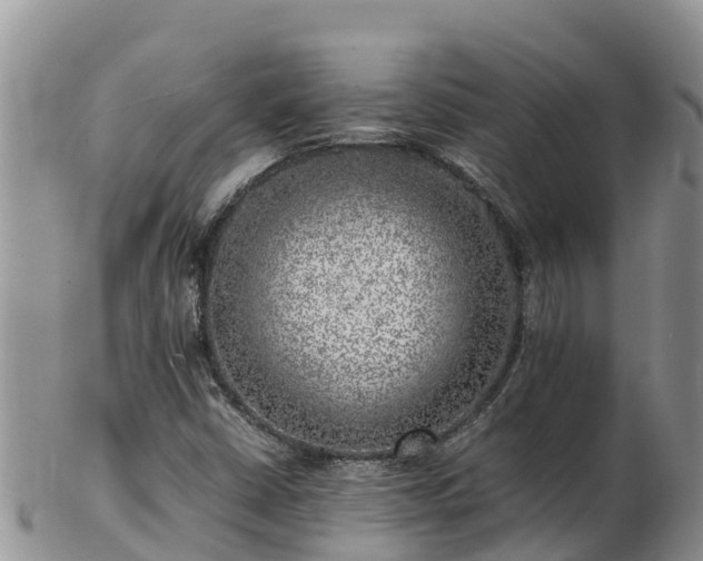 X0000103311402200809051534