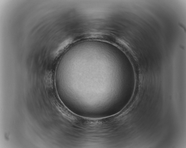X0000103311403200809051534