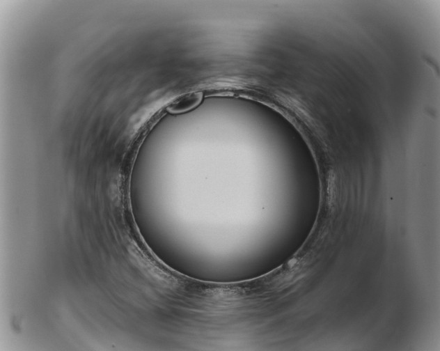 X0000103311404200809051534