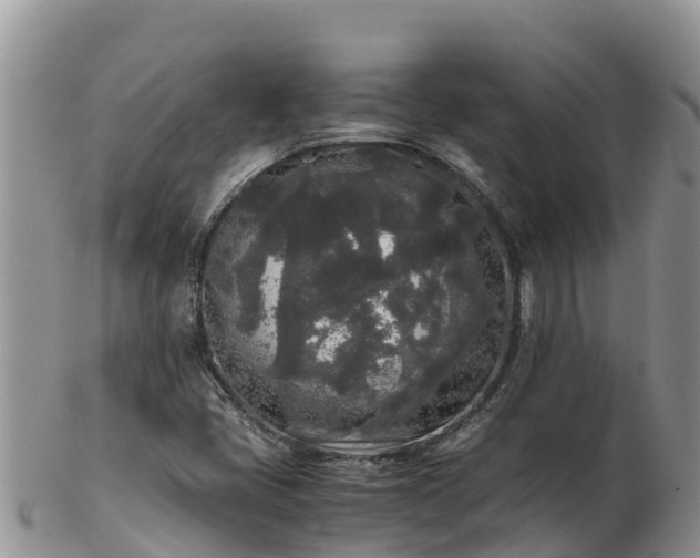 X0000103311405200809051534