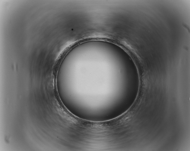 X0000103311408200809051534