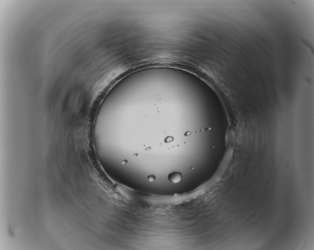X0000103311410200809051535