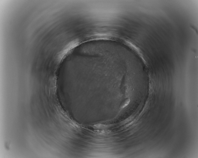 X0000103311411200809051535