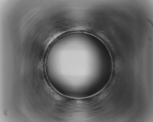X0000103311412200809051535