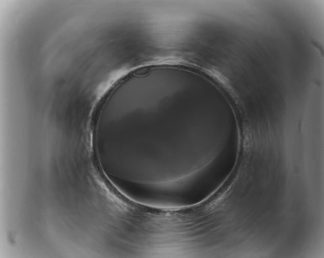 X0000103311414200809051535