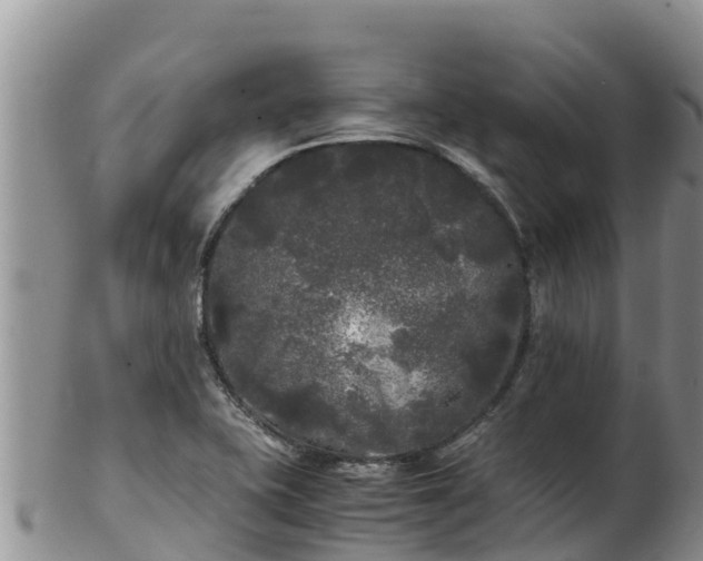 X0000103311415200809051535