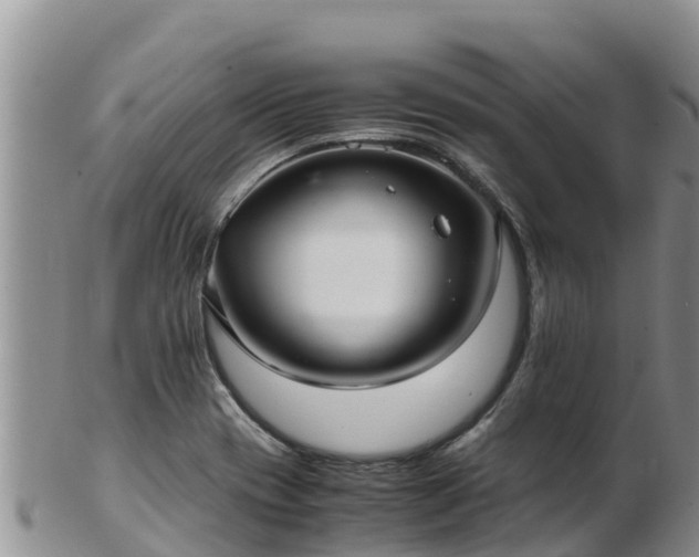 X0000103311417200809051535