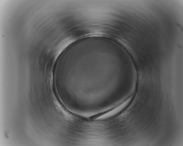 X0000103311418200809051535