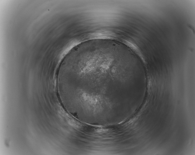 X0000103311419200809051535