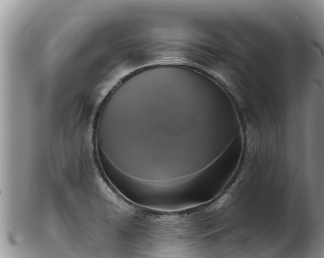 X0000103311422200809051535