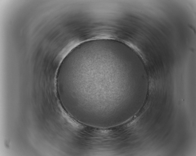 X0000103311423200809051535