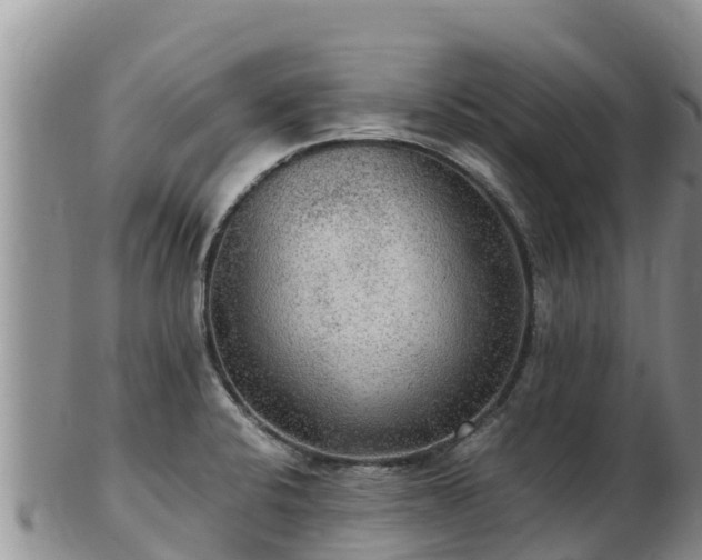 X0000103311424200809051535