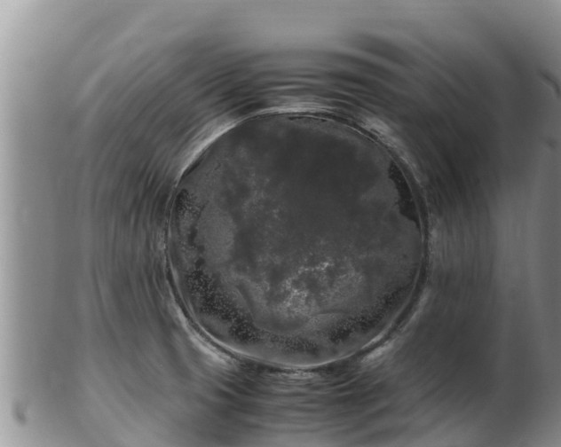 X0000103311425200809051535