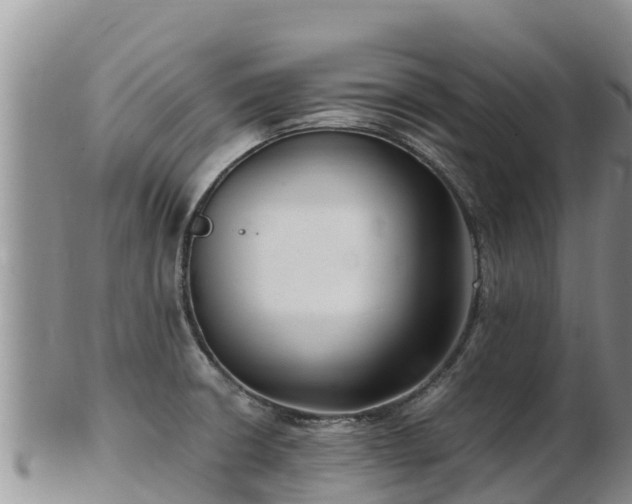 X0000103311426200809051535