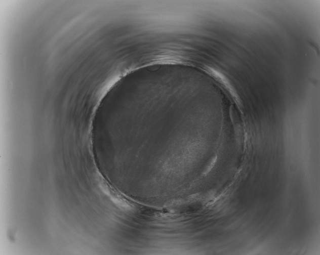 X0000103311427200809051535