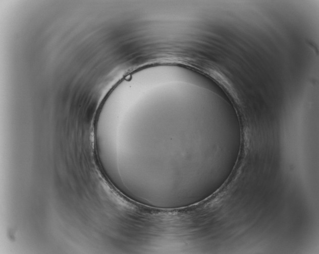 X0000103311428200809051535