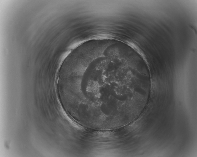 X0000103311429200809051535