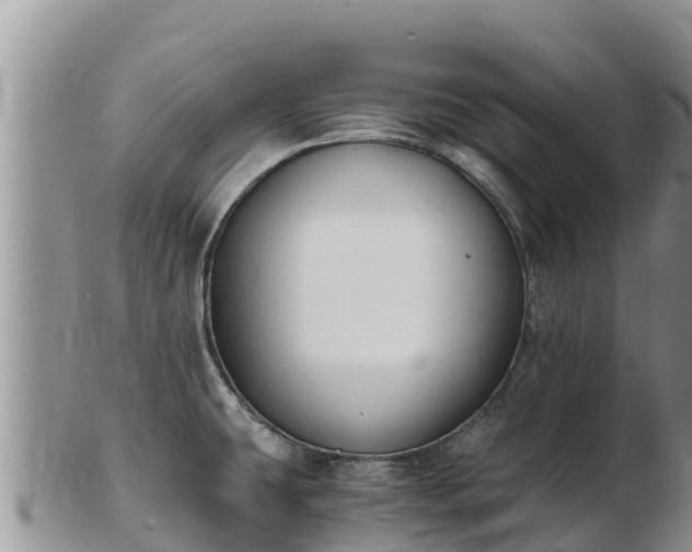 X0000103311431200809051535