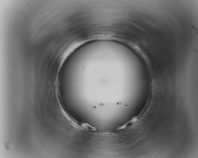 X0000103311432200809051535