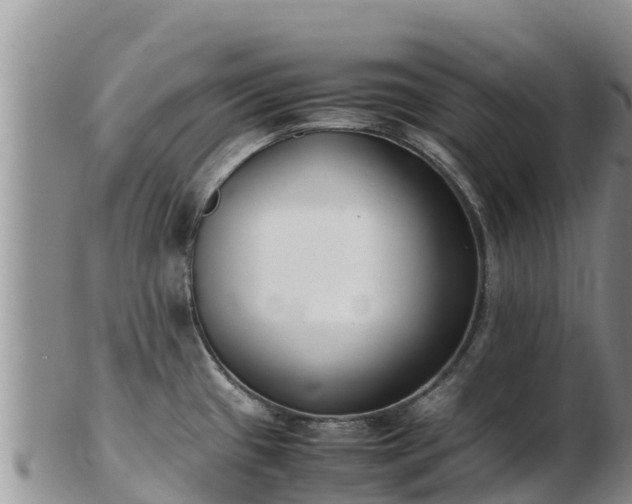 X0000103311433200809051535