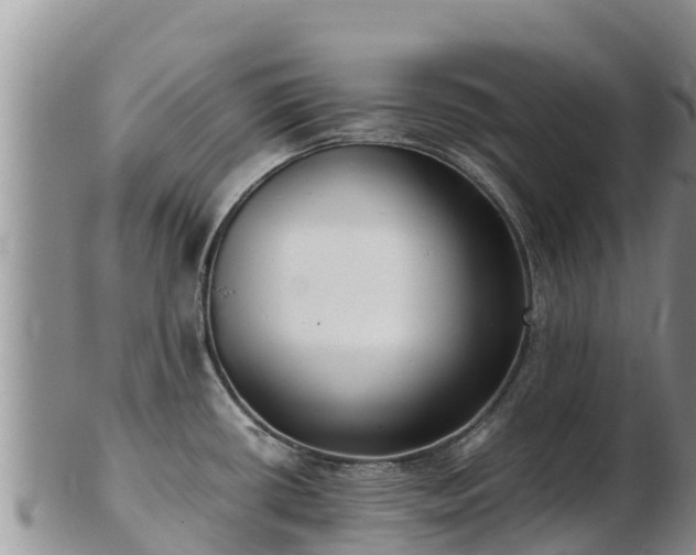 X0000103311434200809051535