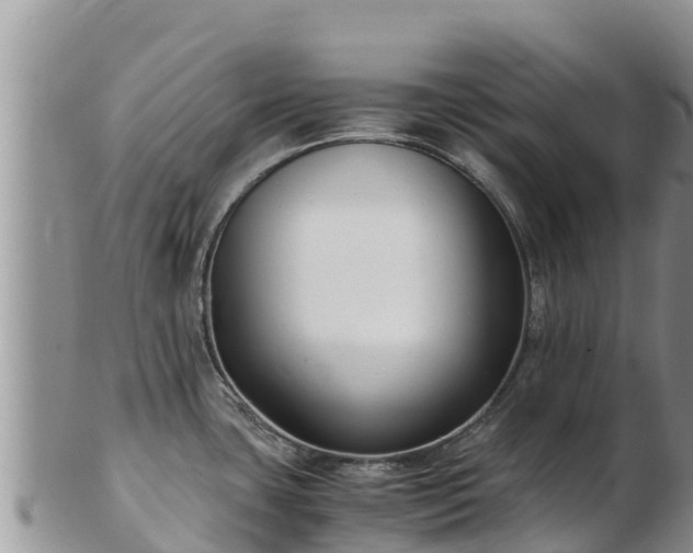 X0000103311435200809051535