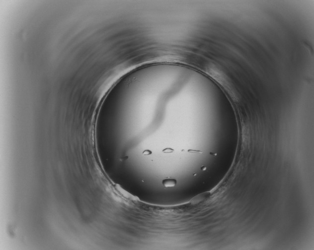 X0000103311436200809051535