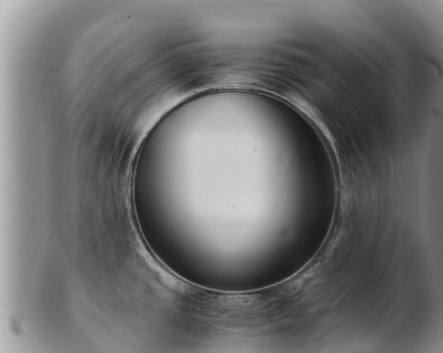 X0000103311437200809051535