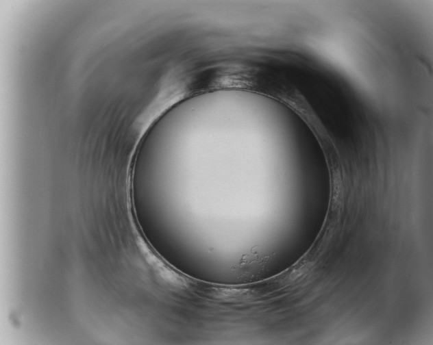 X0000103311439200809051535