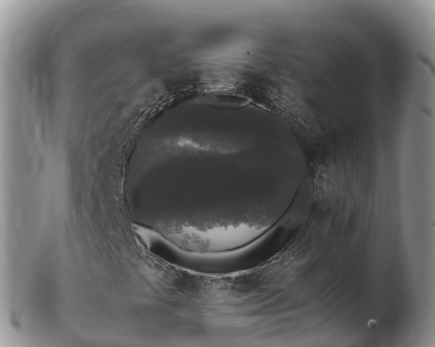 X0000103311441200809051534