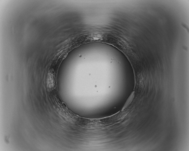 X0000103311442200809051534