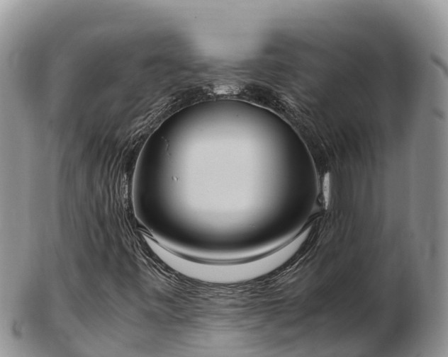 X0000103311443200809051534