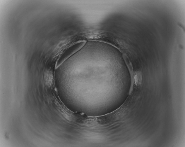 X0000103311444200809051534