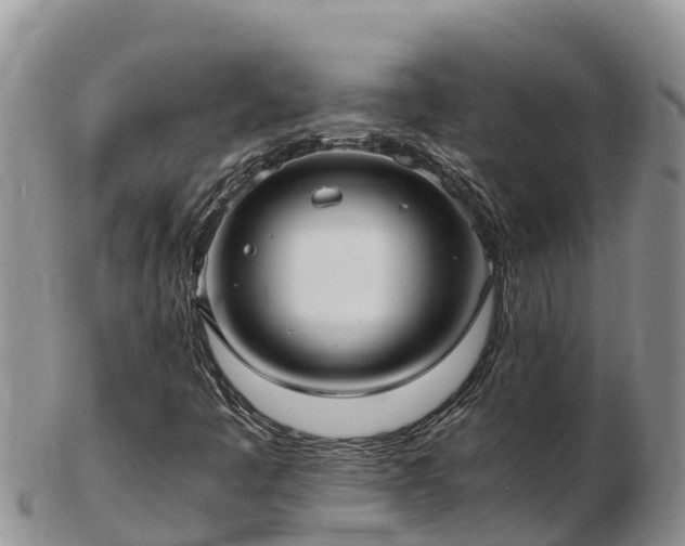 X0000103311445200809051534