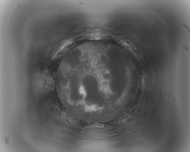 X0000103311446200809051534