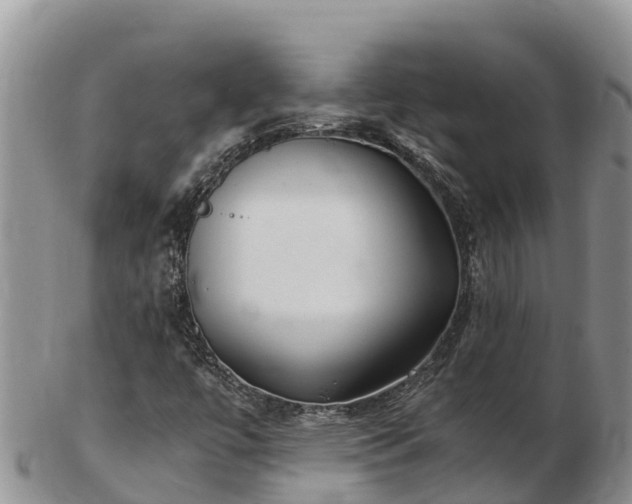 X0000103311447200809051534