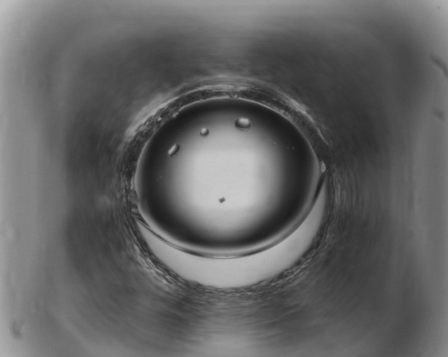 X0000103311448200809051534