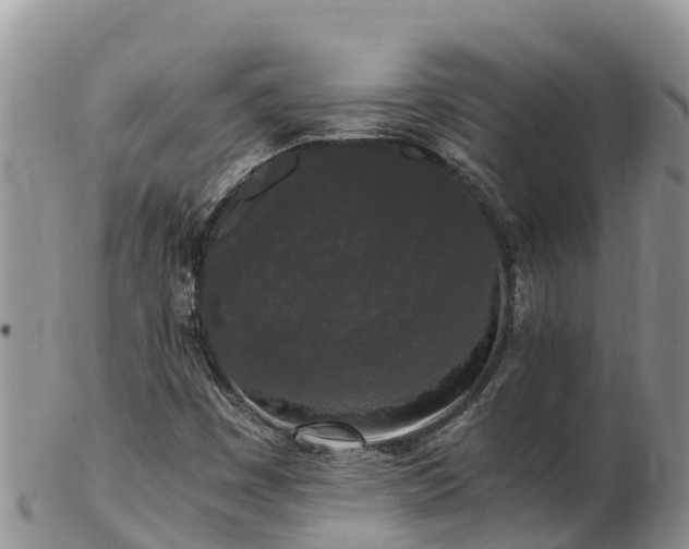 X0000103311449200809051534