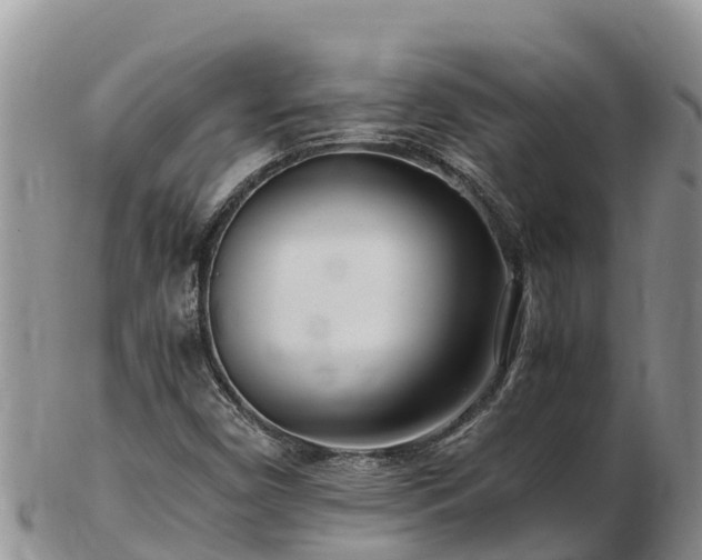 X0000103311450200809051534